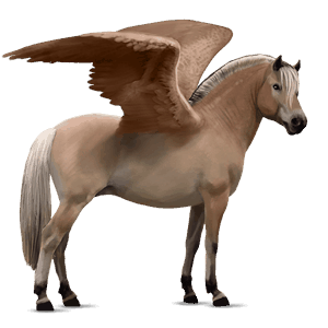pegasus-ponny brunblack