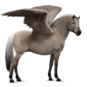 pegasus-ponny grå