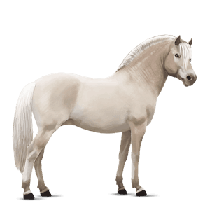 ponny vitblack