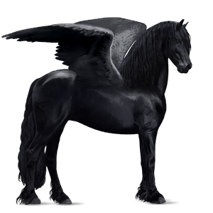 ridpegasus kwpn brun
