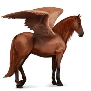 ridpegasus lusitano brun
