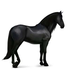 ridhäst lusitano mörkbrun