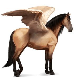 ridpegasus lusitano gulbrun