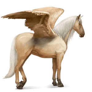 ridpegasus isabell