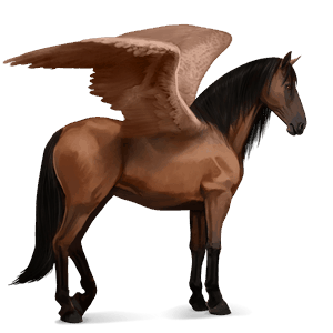 ridpegasus lusitano brun
