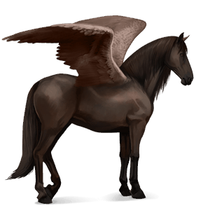 ridpegasus lusitano mörkbrun