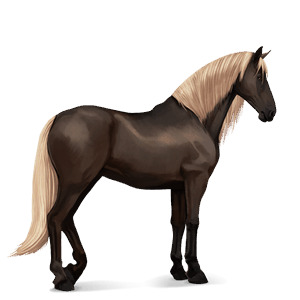 ridhäst lusitano avblekbar skimmel