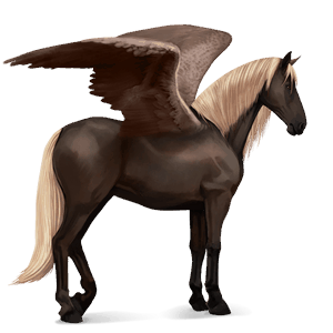 ridpegasus lusitano svart