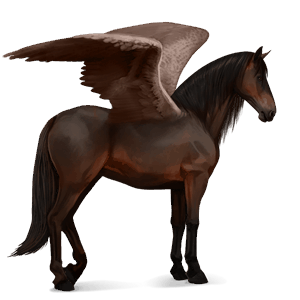 ridpegasus apelgrå