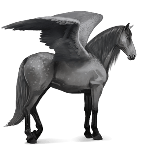 ridpegasus brun