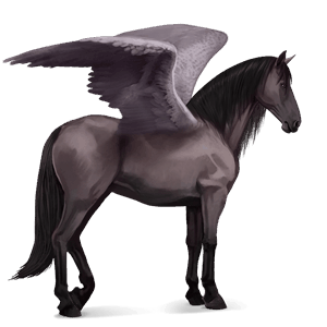 ridpegasus hannoveranare apelgrå