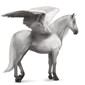 ridpegasus flugskimmel