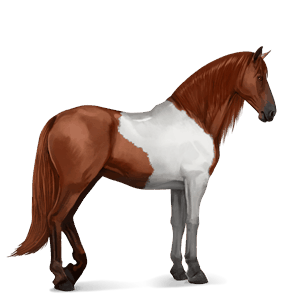 ridhäst lusitano gulbrun