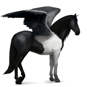 ridpegasus lusitano mörkbrun