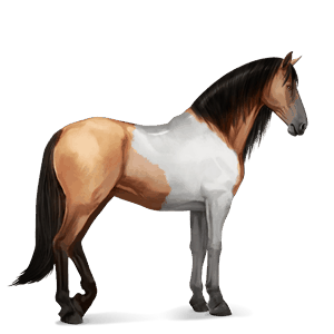 ridhäst lusitano apelgrå