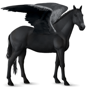 ridpegasus lusitano svart
