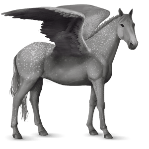 ridpegasus knabstrup apelgrå