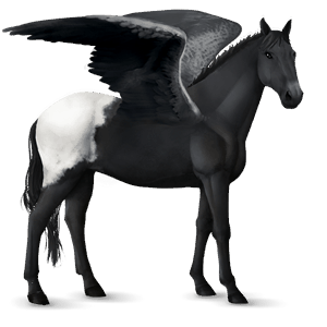 ridpegasus körsbärsbrun