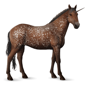 ridenhörning svart leopard 