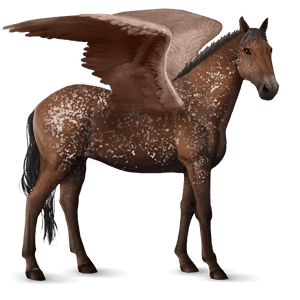 ridpegasus engelskt fullblod avblekbar skimmel