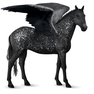 ridpegasus lusitano gulbrun