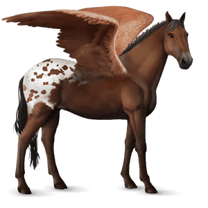 ridpegasus lusitano brun