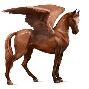 ridpegasus marwari fux