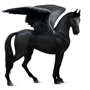 ridpegasus hannoveranare svart