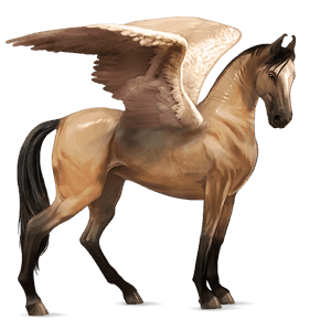 ridpegasus lusitano gulbrun