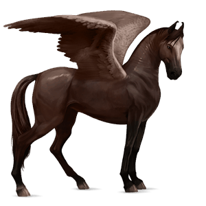 ridpegasus marwari mörkfux