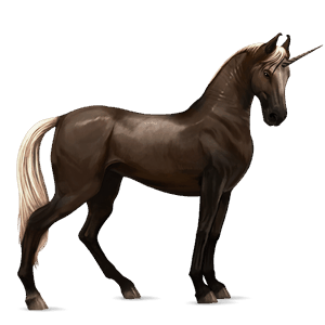 ridenhörning akhal-teke svart