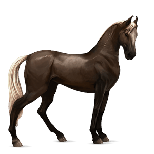 ridhäst tennessee walker mörkfux