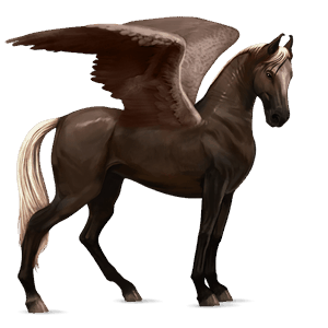 ridpegasus akhal-teke mörk linfux 