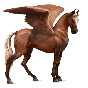 ridpegasus marwari linfux 