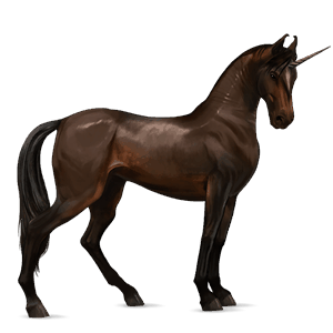 ridenhörning akhal-teke mörkbrun