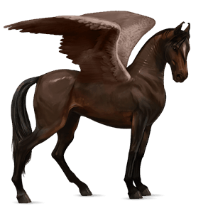 ridpegasus argentinsk criollo gulvit