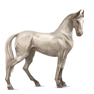ridhäst paint horse fux tobiano