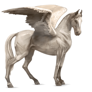ridpegasus engelskt fullblod gulvit