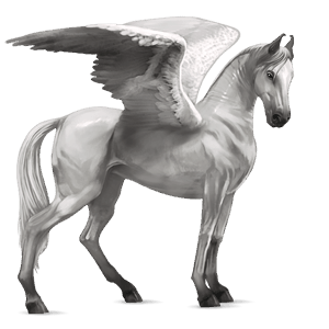 ridpegasus lusitano fux