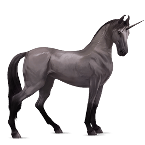 ridenhörning akhal-teke konstantskimmel