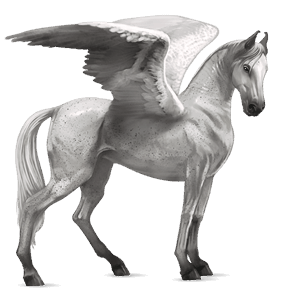 ridpegasus engelskt fullblod avblekbar skimmel
