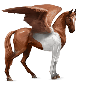 ridpegasus arabiskt fullblod fux