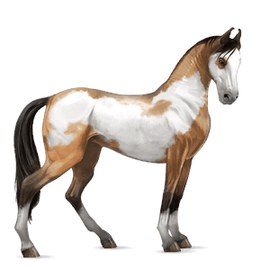 ridhäst lusitano avblekbar skimmel