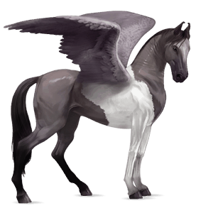 ridpegasus lusitano brun