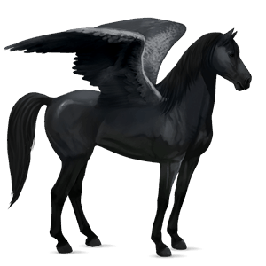 ridpegasus svart