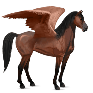 ridpegasus mustang körsbärsbrun