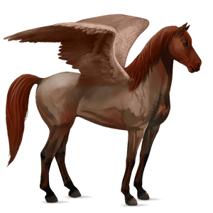 ridpegasus lusitano brun