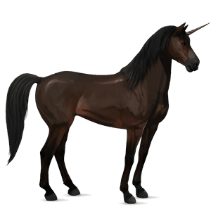 ridenhörning mustang mörkbrun