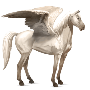 ridpegasus argentinsk criollo gulvit