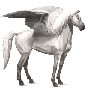 ridpegasus lusitano avblekbar skimmel